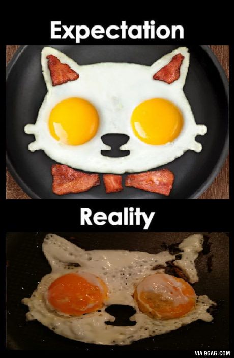 carnivore expectations vs reality